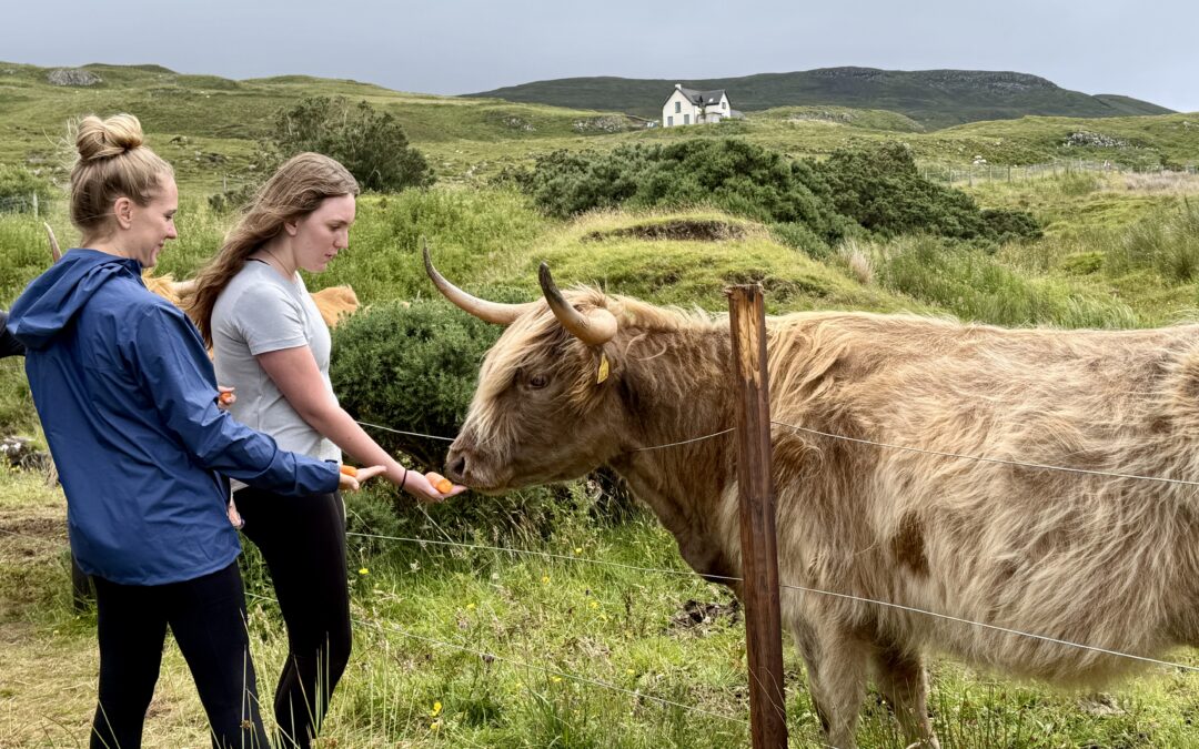 Untethered Skye: Highland Cows & Coffee Near Portree